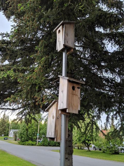 8410 E 10th Ave, Anchorage, AK 99504 photo 31