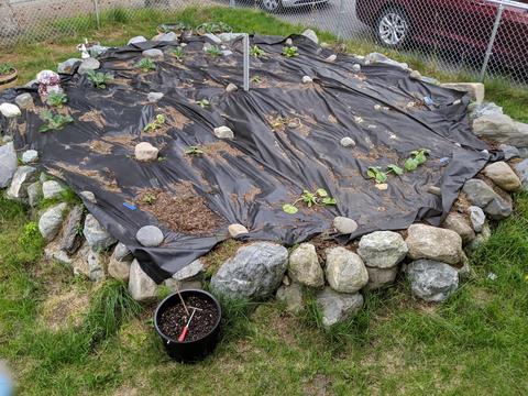 8410 E 10th Ave, Anchorage, AK 99504 photo 33