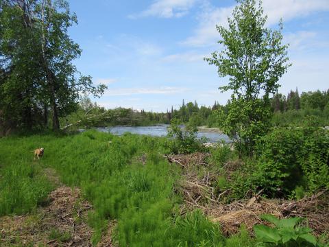 23281 W Willow Fishhook Rd, Willow, AK 99688 photo 15
