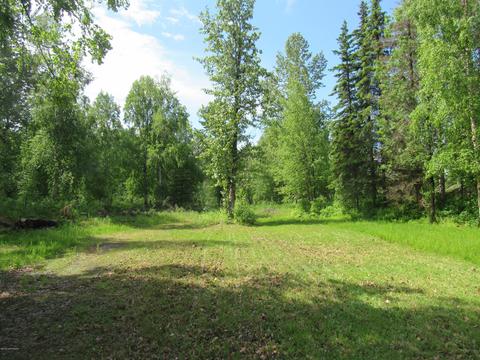 23281 W Willow Fishhook Rd, Willow, AK 99688 photo 13