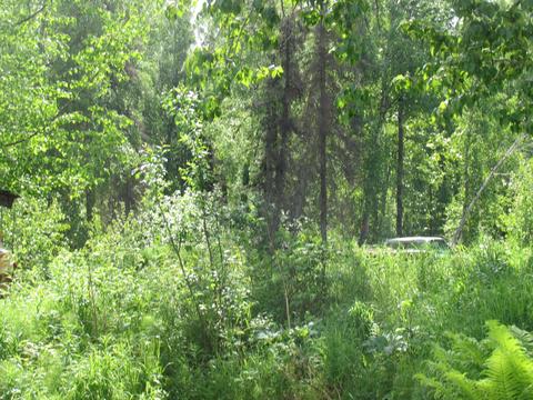 23281 W Willow Fishhook Rd, Willow, AK 99688 photo 23