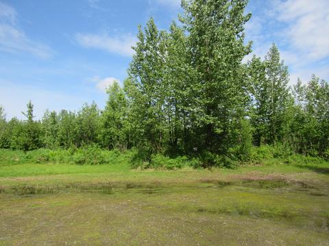 23281 W Willow Fishhook Rd, Willow, AK 99688 photo 32