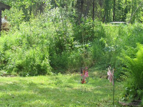 23281 W Willow Fishhook Rd, Willow, AK 99688 photo 24
