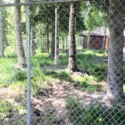 10230 Crest View Ln, Eagle River, AK 99577 photo 27