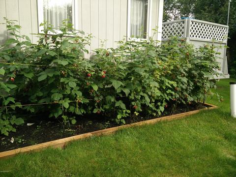 21665 Sheltering Spruce Loop, Chugiak, AK 99567 photo 39