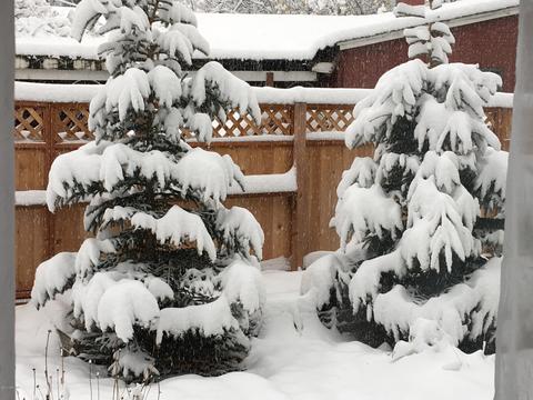 11440 Borealis St, Eagle River, AK 99577 photo 50