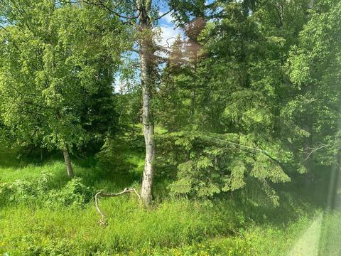 5401 E 142nd Ave, Anchorage, AK 99516 photo 21