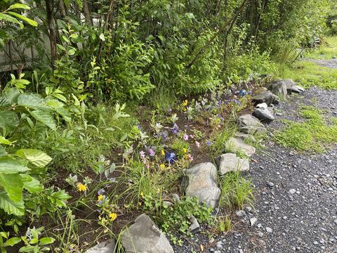 11570 Eagle Ln, Seward, AK 99664 photo 6