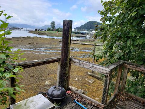 927 A Case Ave, Wrangell, AK 99929 photo 10