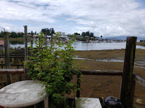 927 A Case Ave, Wrangell, AK 99929 photo 11