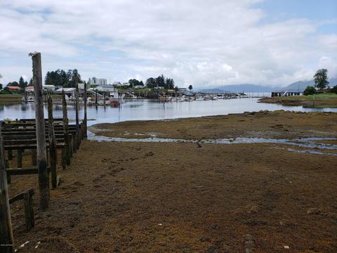 927 A Case Ave, Wrangell, AK 99929 photo 9