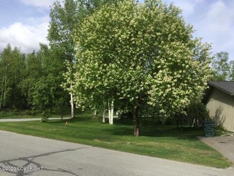 10233 Ledoux Ln, Eagle River, AK 99577 photo 31