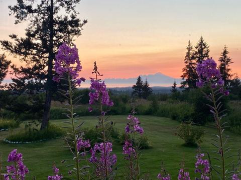 67538 Endless View Loop, Homer, AK 99603 photo 2