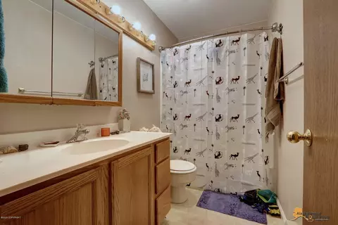 17737 Blue Spruce Ln, Eagle River, AK 99577 photo 14