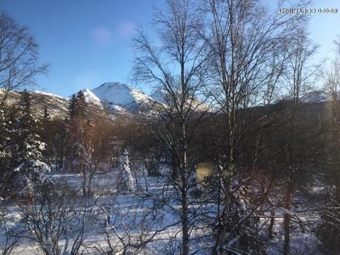 7741 Cox Dr, Anchorage, AK 99516 photo 3