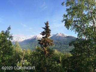 23231 Eagle River Rd, Eagle River, AK 99577 photo 5