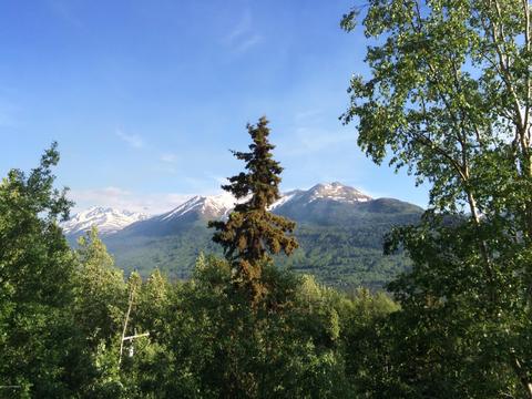 23231 Eagle River Rd, Eagle River, AK 99577 photo 47