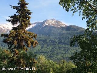 23231 Eagle River Rd, Eagle River, AK 99577 photo 3