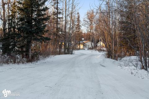 9961 E Ortner Loop, Palmer, AK 99645 photo 41