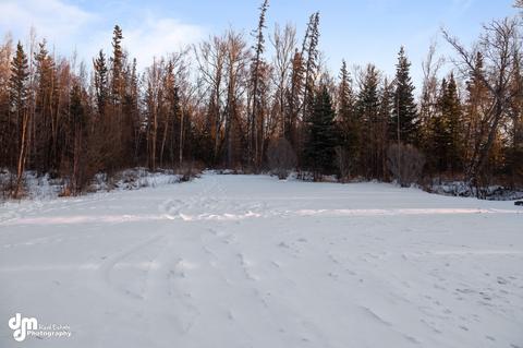 9961 E Ortner Loop, Palmer, AK 99645 photo 40