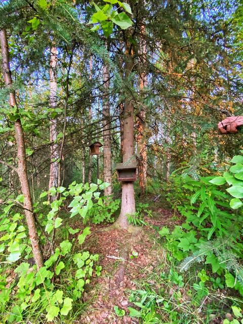 22043 Cloverleaf Rd, Chugiak, AK 99567 photo 46