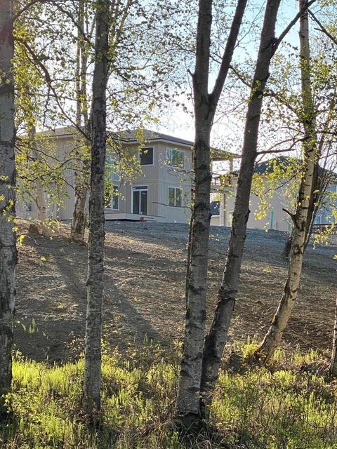 3096 S Barn Gable Loop, Wasilla, AK 99654 photo 47
