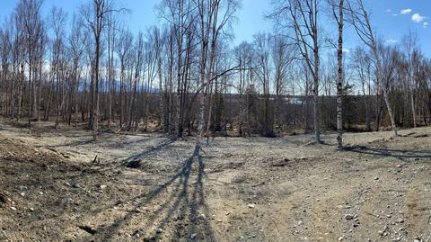3096 S Barn Gable Loop, Wasilla, AK 99654 photo 4