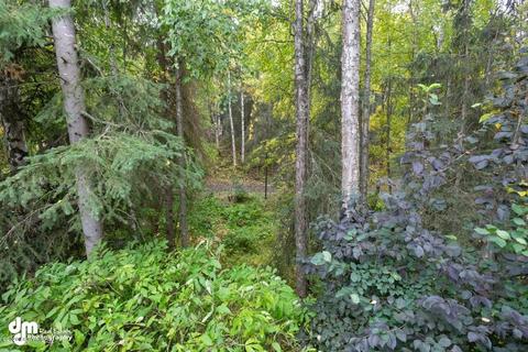18910 Eaglewood Loop, Eagle River, AK 99577 photo 35