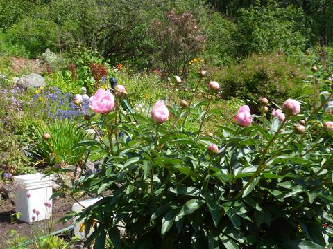23434 Eagle River Rd, Eagle River, AK 99577 photo 14