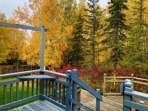 6995 Fredricks Dr, Anchorage, AK 99504 photo 32