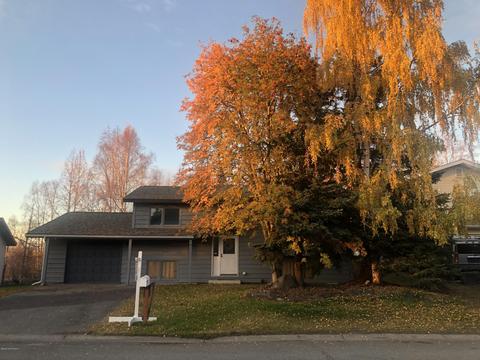 6995 Fredricks Dr, Anchorage, AK 99504 photo 2
