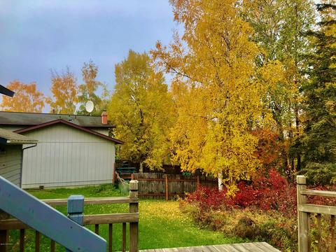 6995 Fredricks Dr, Anchorage, AK 99504 photo 33