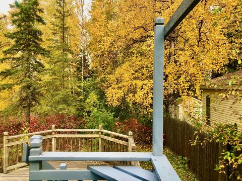 6995 Fredricks Dr, Anchorage, AK 99504 photo 34