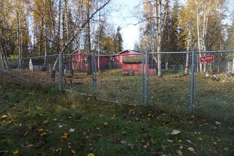 17651 Werre St, Chugiak, AK 99567 photo 26
