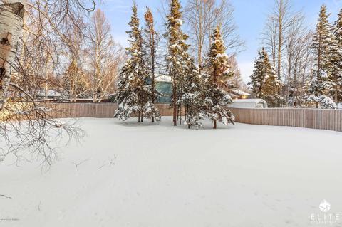 16631 Eleonora St, Eagle River, AK 99577 photo 18
