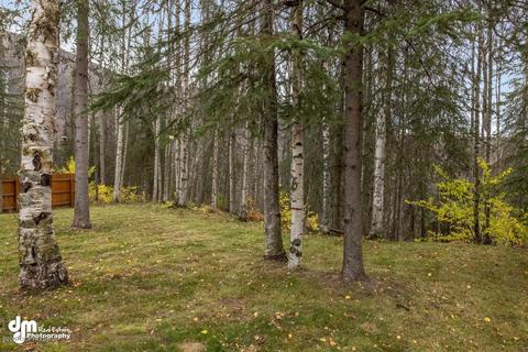 9034 W Parkview Terrace Loop, Eagle River, AK 99577 photo 29