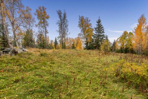16830 Riverview Dr, Ninilchik, AK 99639 photo 17