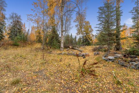 16830 Riverview Dr, Ninilchik, AK 99639 photo 13