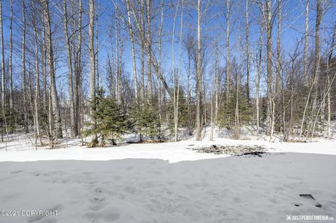 7745 E Downstream Dr, Palmer, AK 99645 photo 43