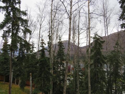 20798 Icefall Dr, Eagle River, AK 99577 photo 9