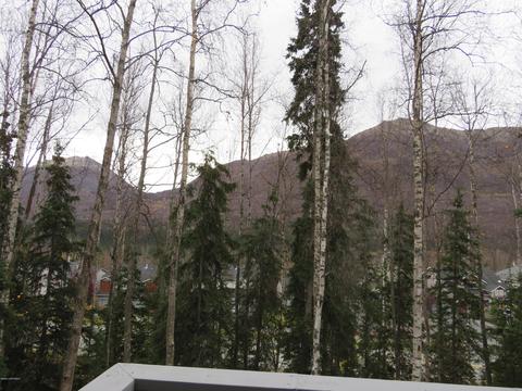 20798 Icefall Dr, Eagle River, AK 99577 photo 12