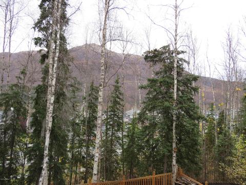 20798 Icefall Dr, Eagle River, AK 99577 photo 10