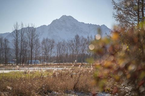 16685 E Outer Springer Loop, Palmer, AK 99645 photo 12