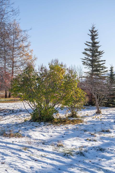 16685 E Outer Springer Loop, Palmer, AK 99645 photo 48