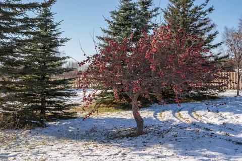 16685 E Outer Springer Loop, Palmer, AK 99645 photo 51