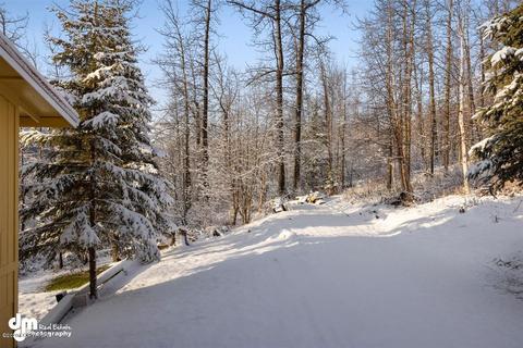 25650 White Spruce Dr, Eagle River, AK 99577 photo 58