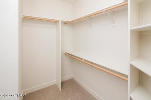 9020 E Windy Woods Loop, Palmer, AK 99645 photo 28