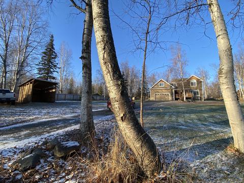 21675 Tarika Ave, Chugiak, AK 99567 photo 37