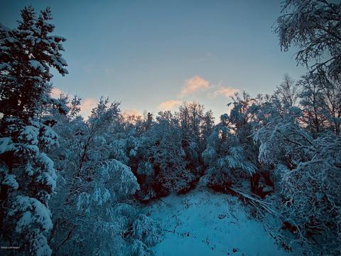 6736 Cloudcroft Ln, Anchorage, AK 99516 photo 22