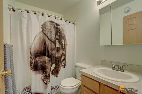 9901 E Ortner Loop, Palmer, AK 99645 photo 14
